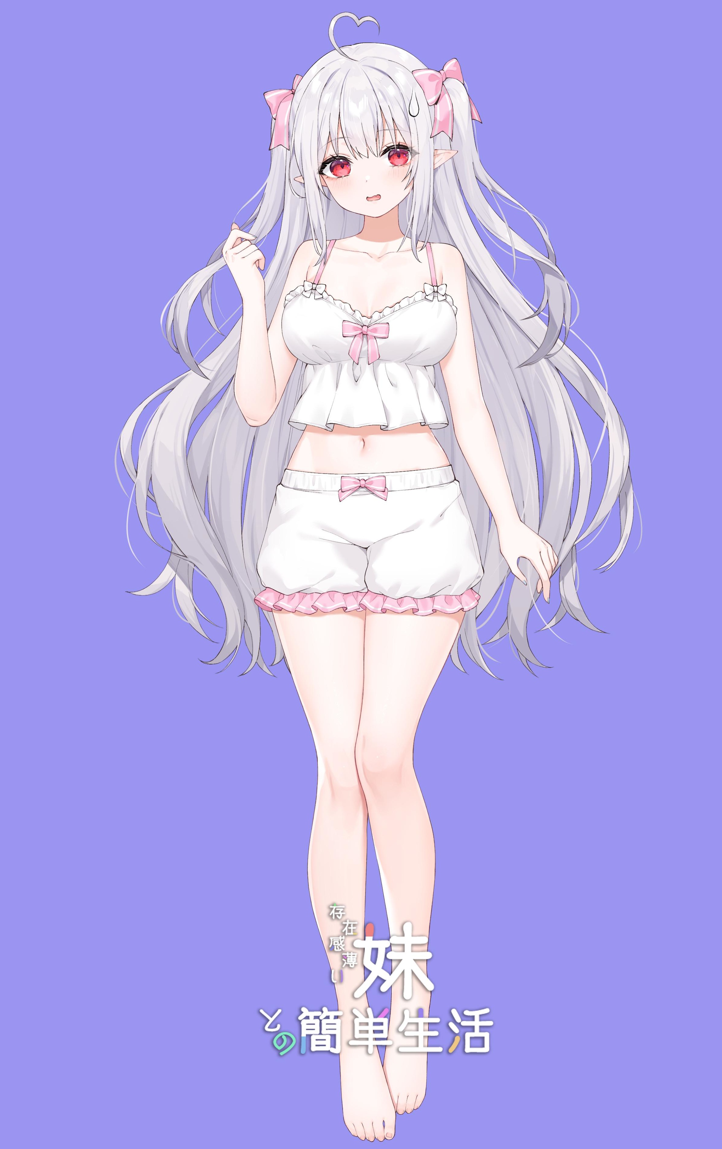 和存在感薄弱妹妹一起的简单生活~v1.06官方中文游戏封面